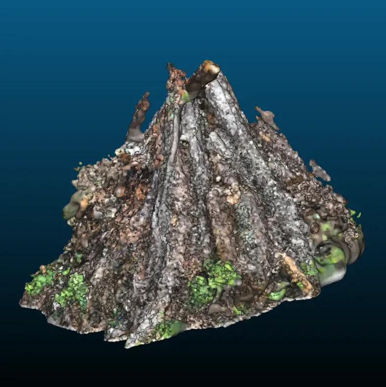 Point cloud and reconstructed mesh